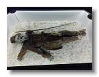 IMG_20170605_121700