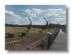 IMG_20170605_150913